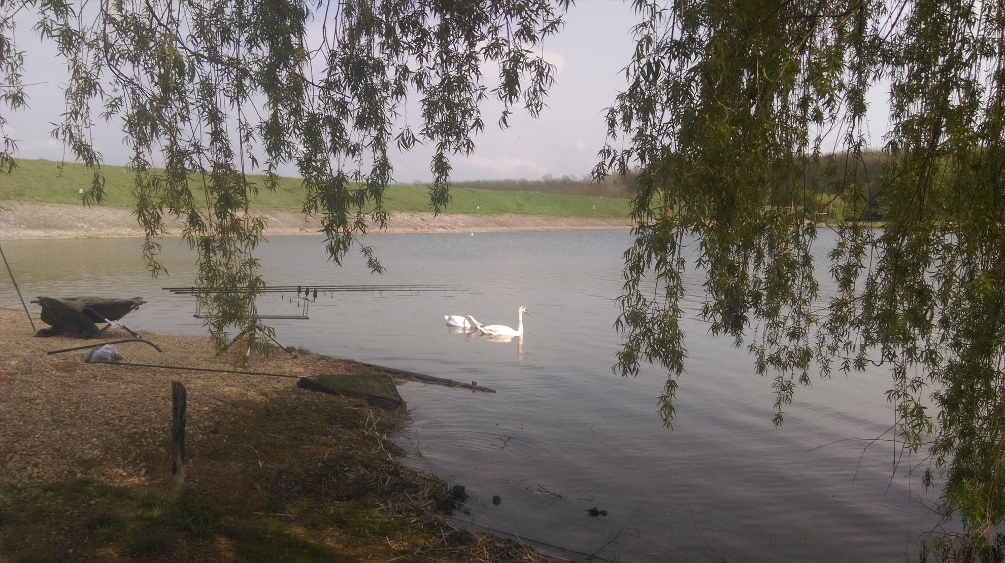 capturi 2016 - imag0324.jpg